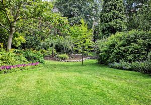 Optimiser l'expérience du jardin à Fresnay-le-Long